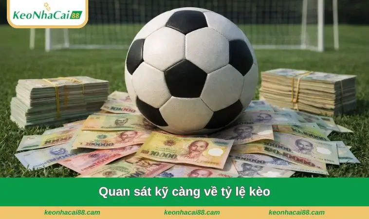 Quan sát kỹ càng về tỷ lệ kèo