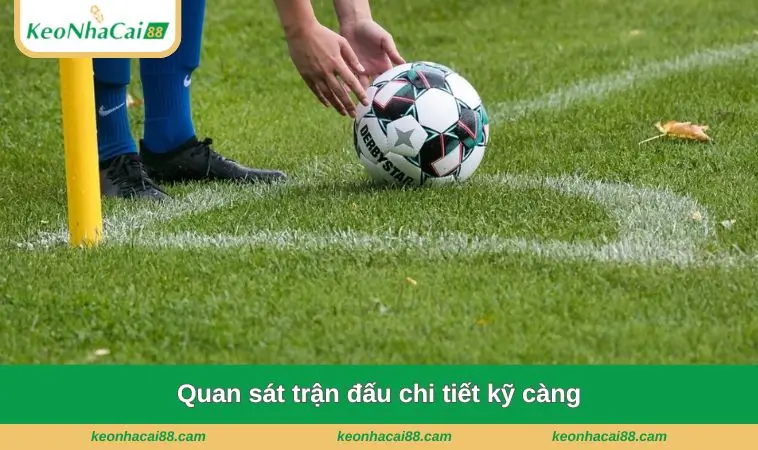 quan sat tran dau chi tiet ky cang Quan sát trận đấu chi tiết kỹ càng