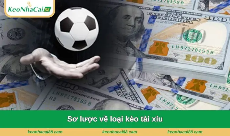 Sơ lược về loại kèo tài xỉu