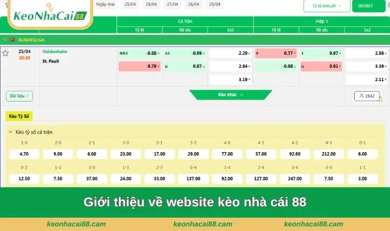 Giới thiệu về website kèo nhà cái 88