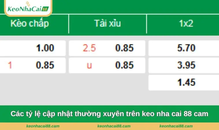Các tỷ lệ cập nhật thường xuyên trên keo nha cai 88 cam