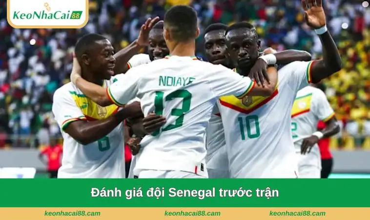 Đánh giá đội Senegal trước trận