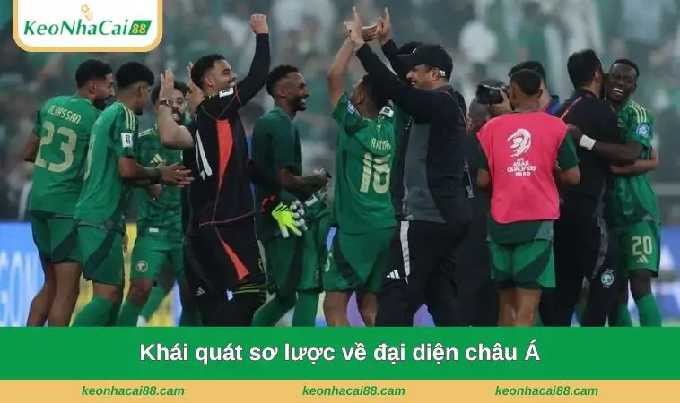 khai quat so luoc ve dai dien chau a Khái quát sơ lược về đại diện châu Á