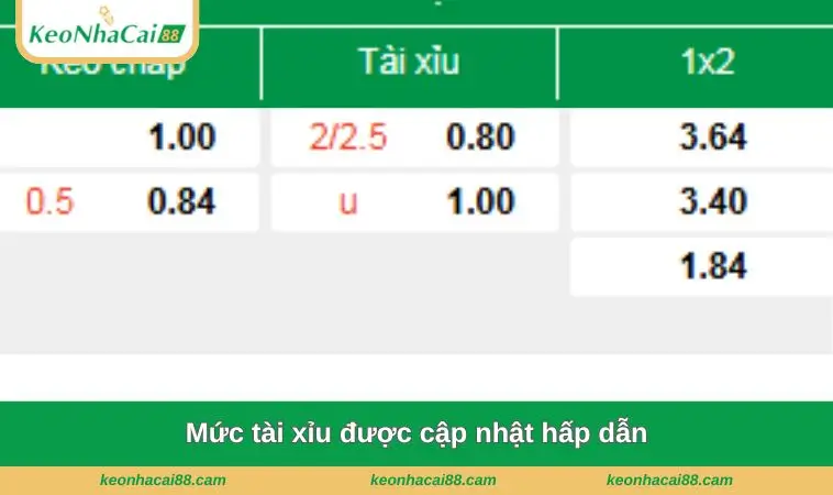 Mức tài xỉu được cập nhật hấp dẫn