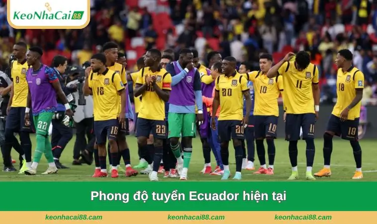 phong do tuyen ecuador hien tai Phong độ tuyển Ecuador hiện tại