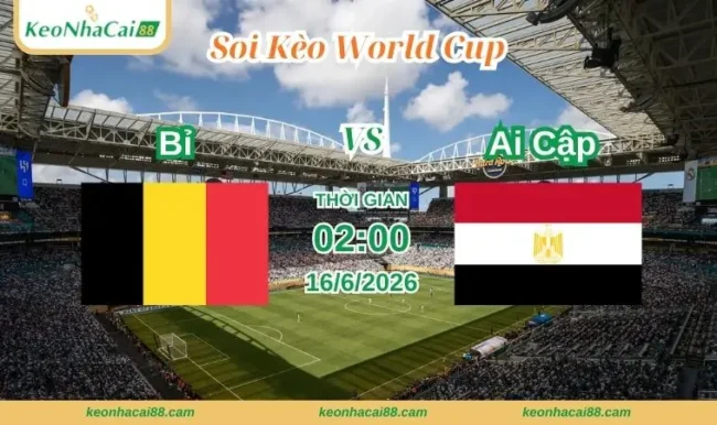 Soi kèo World Cup Bỉ vs Ai Cập