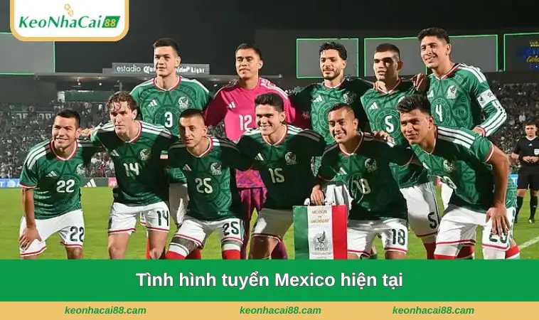 tinh hinh tuyen mexico hien tai Tình hình tuyển Mexico hiện tại