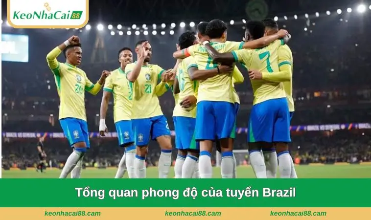 Tổng quan phong độ của tuyển Brazil