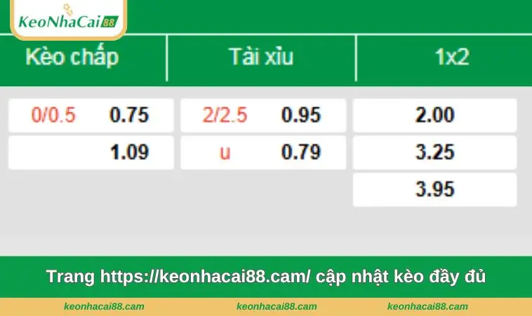 trang https keonhacai88 cam cap nhat keo day du Trang https://opstrijkertjes.nl/ cập nhật kèo đầy đủ